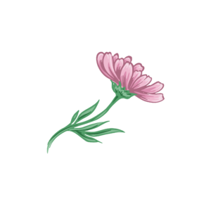 Bügelbild Realistische Gerbera Blume